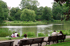 Großer Teich in der Vorderen Eilenriede