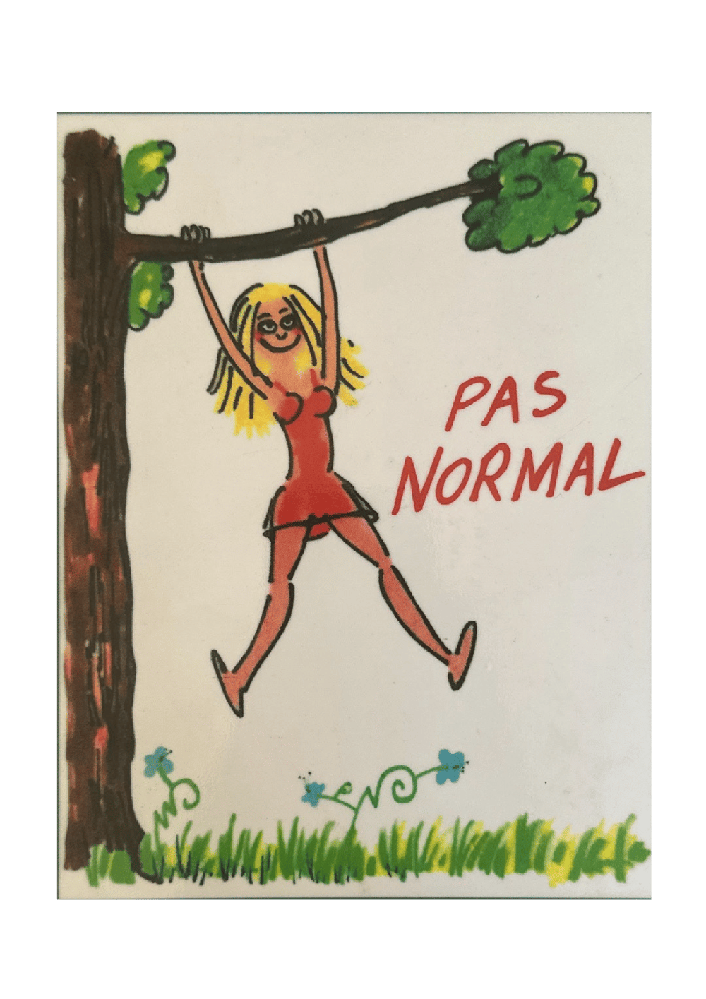 LOGO Pas Normal 