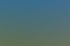 Eine Gruppe von elf Personen steht gemeinsam auf einer grünen Wiese unter strahlend blauem Himmel.