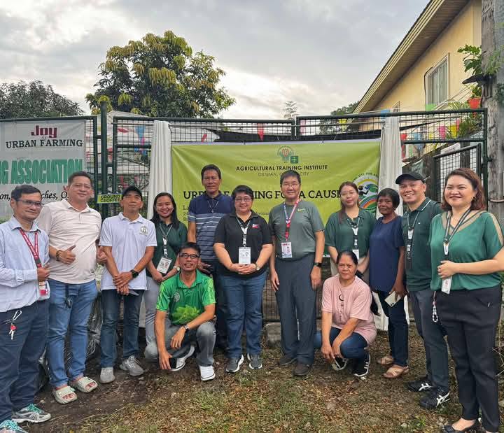 Bgso Urban Farming in Quezon City