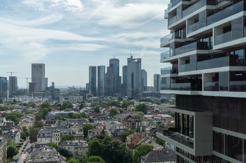Der Senckenbergturm über den Dächern von Frankfurt