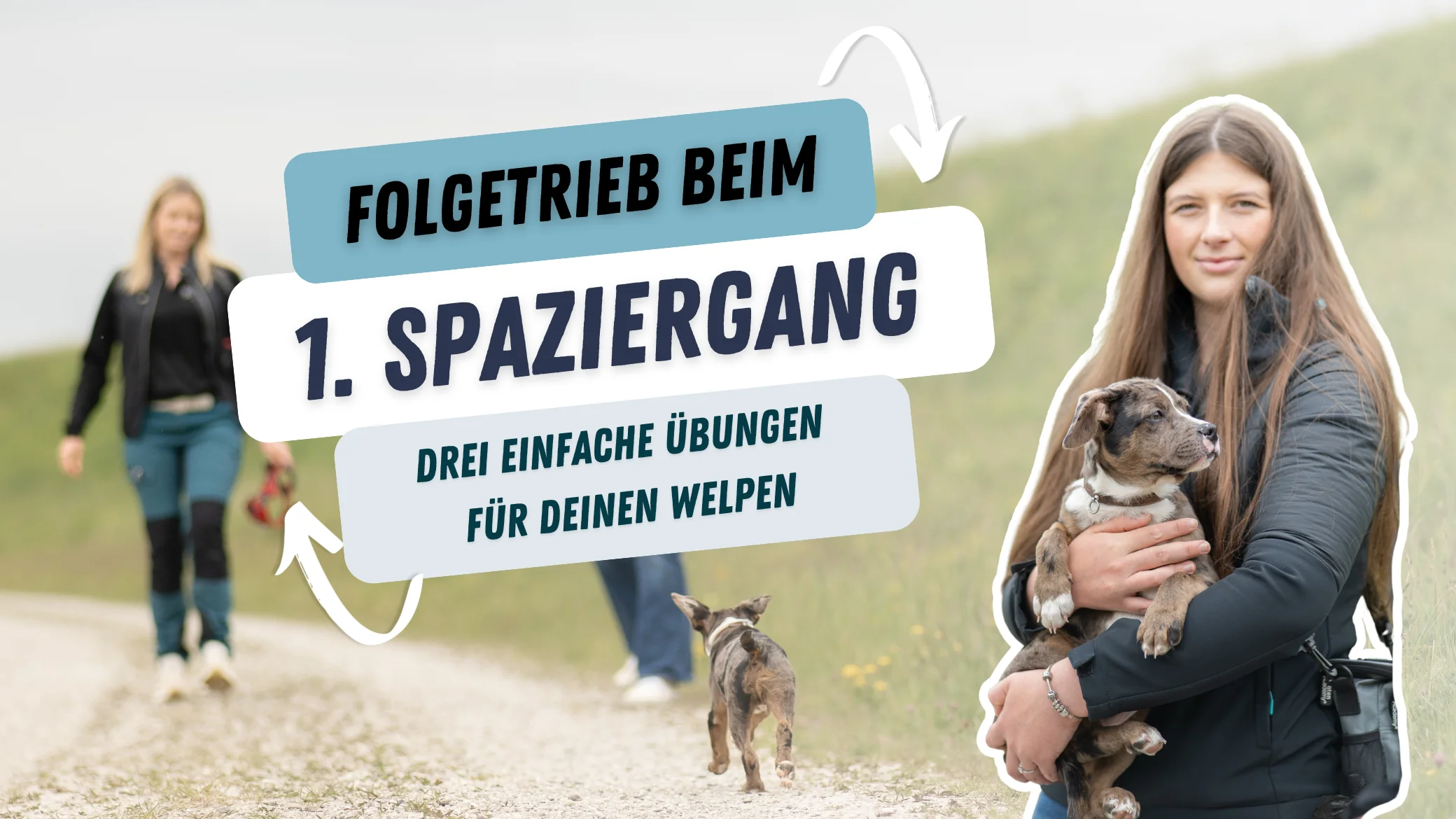 Bruce bei seinem ersten Spaziergang