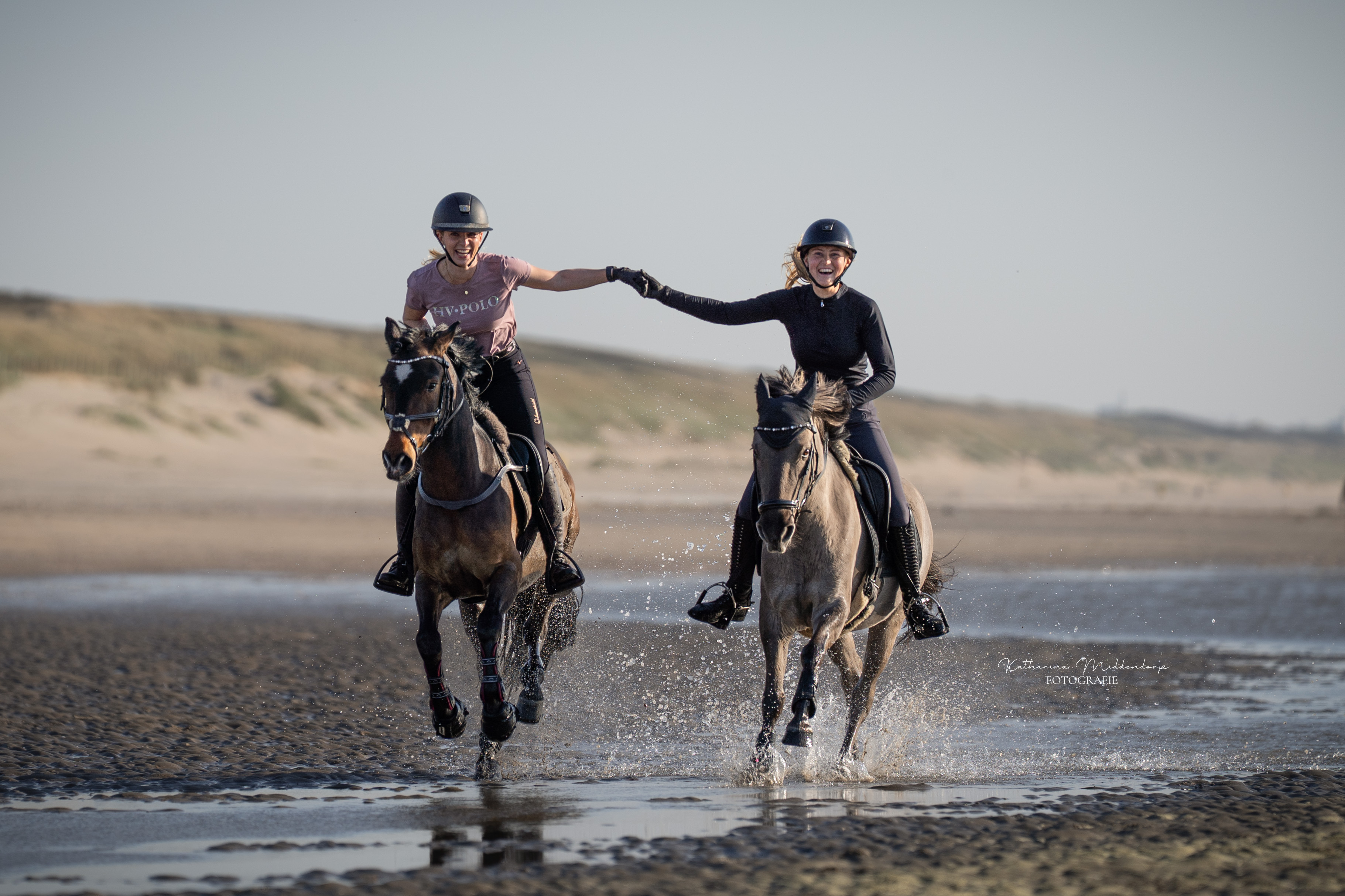 Pferdefotografie von Katharina Middendorp