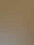 Feuchtraumwand in mineralischem Beige, glatt und fugenlos bis zum Duscheinstieg geführt.