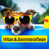 Ein Hund mit Sonnenbrille schwimmt in einem blauen Pool neben einer Quietscheente; Text: Hitze & Sommerpflege.
