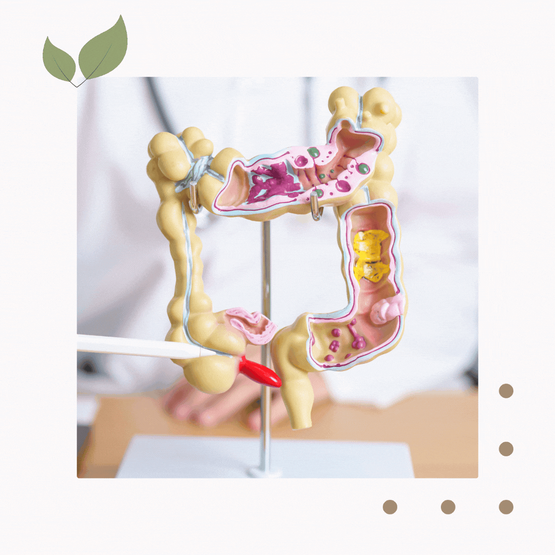 Acworth GA Digestive Care Services

