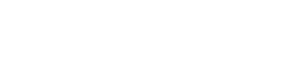 Footer Logo iwanitoo