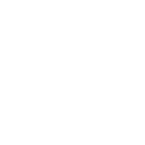 PLAUD