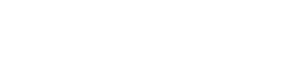 zinsboutique-logo-9