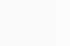 Kundenstimme über SPEEDSCALING