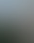 Moderne helle Wohngebäude mit Balkonen, umgeben von Bäumen und Sträuchern, unter blauem Himmel.