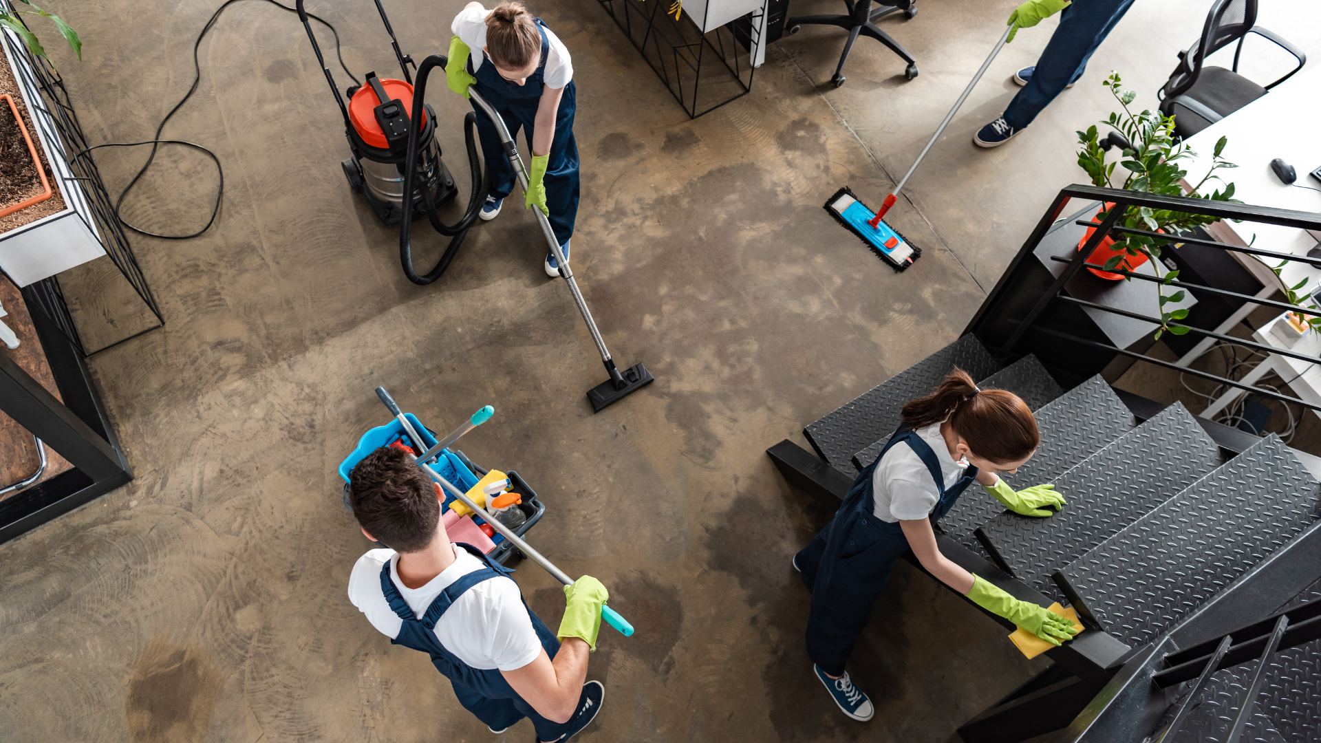 Professionelle Gebäudereinigung – Rein Gebäudeservice Cottbus