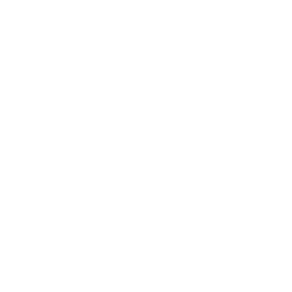 Weißes stilisiertes Z-ähnliches Zeichen in einem Kreis auf dunkelgrünem Hintergrund.