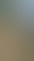 Forstservice Frankfurt (Oder) | Forstservice Winnige