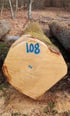 Ein gefällter Baumstamm mit der blauen Nummer „108“ und einem blauen Zeichen auf der Schnittfläche.