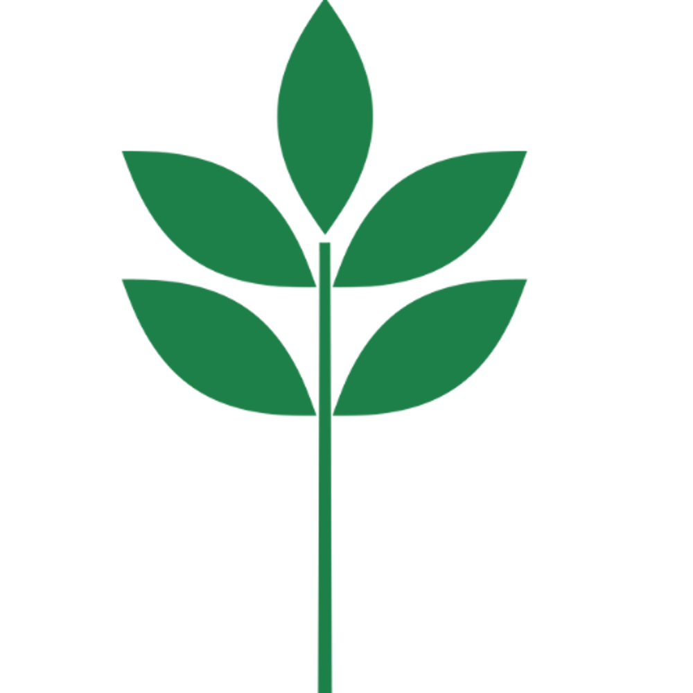 Grüner Pflanzenstiel mit fünf Blättern, drei oben und zwei seitlich.