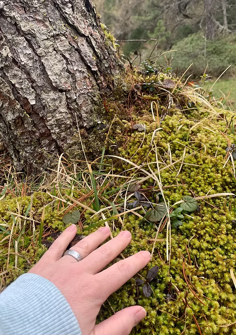 Eine Hand mit einem Ring berührt moosbedeckten Boden neben einem Baumstamm.