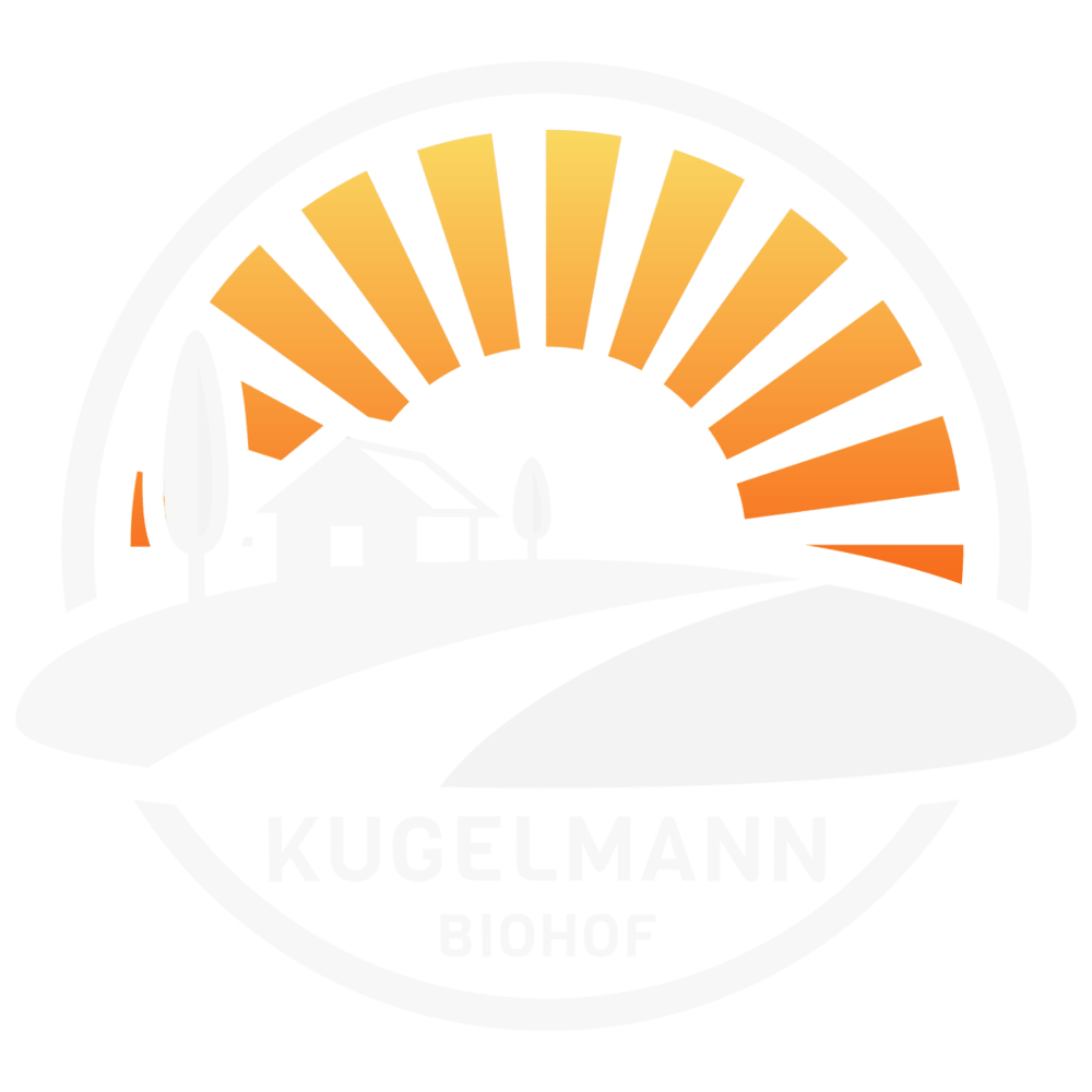 Beiges Logo „WERNERS Blumenlädchen“ mit stilisiertem Blütenblatt auf dunkelgrünem Hintergrund.