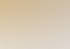 Was Gäste bei einer Airbnb-Unterkunft wirklich erwarten – Einblicke für bessere Inserate & Buchungserfolg