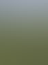 Forstservice Frankfurt (Oder) | Forstservice Winnige