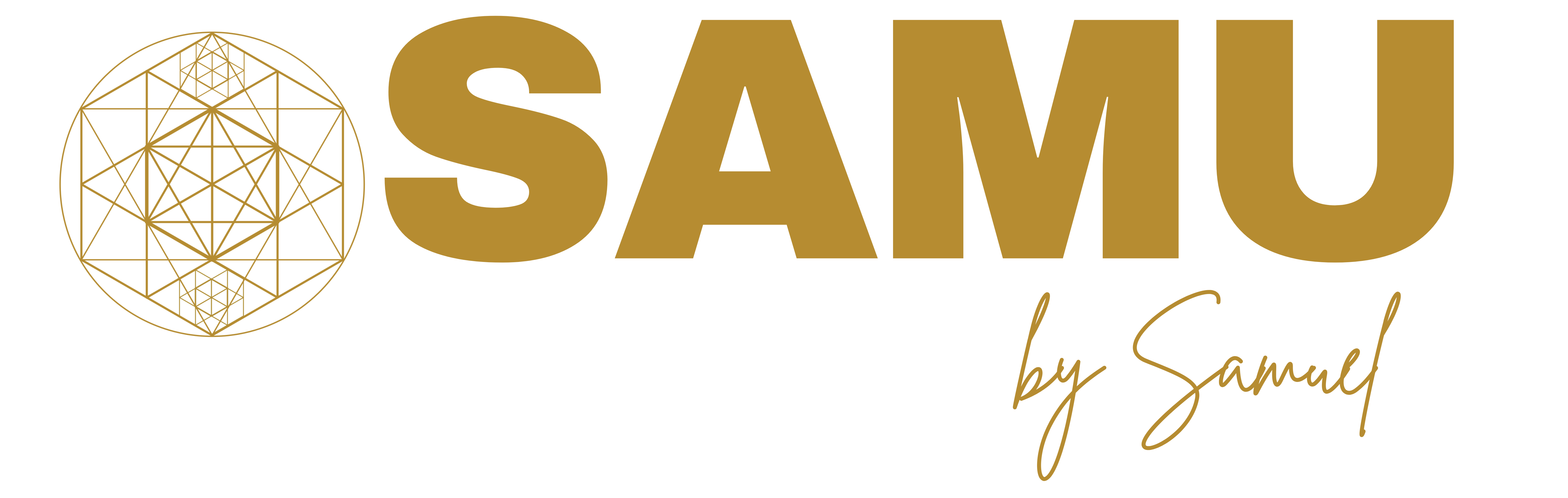 SAMU Consulting