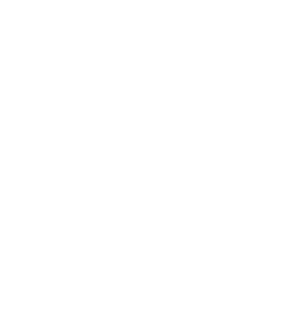 NIRO und KÖGL Logos mit Schriftzug "OFFIZIELLER VIP-PARTNER" und 4 Sternen in Rot auf Grün.