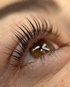 Nahaufnahme eines Auges mit langen, geschwungenen Wimpern und einer braunen Iris, die nach oben blickt.