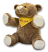 Brauner Plüschteddybär mit gelbem Halstuch, auf dem "Alles Liebe" steht.