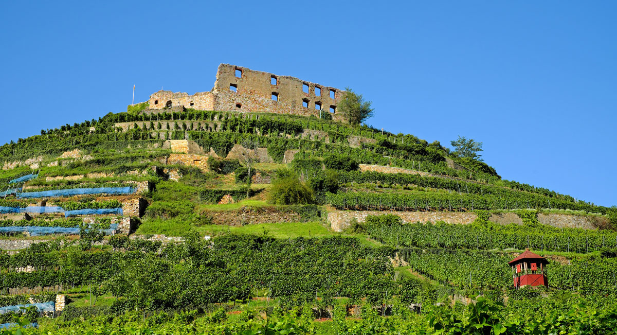 Staufen im Breisgau mit Burgruine