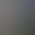 Zwei Wölfe im Vordergrund, ein großer und ein kleiner, vor einem dunklen Wald mit Glühwürmchen und Sternenhimmel.