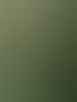 Vorher-Nachher-Vergleich eines Gartens mit einer hohen Hecke. Oben mit Laub, unten ohne.