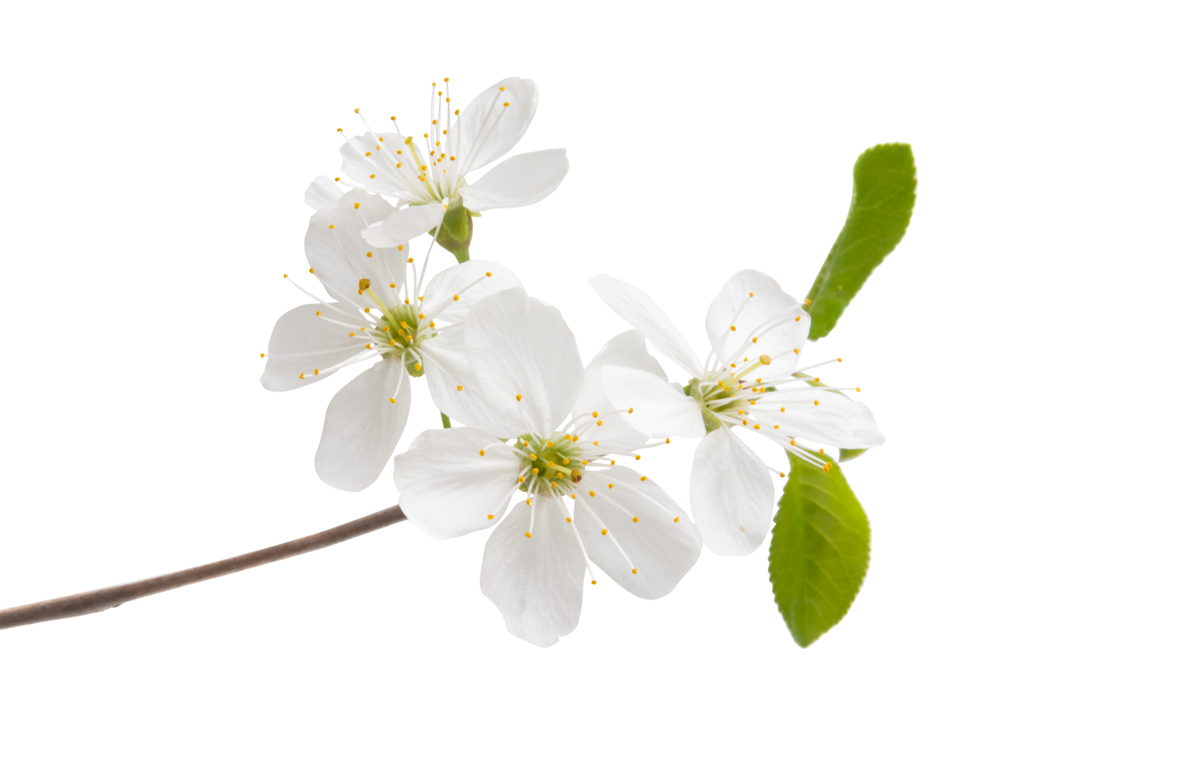 4c6f9e0c-bf90-4136-915b-3586b8b7f565.png