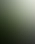 mustang-car-wrapped-light-green