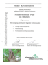 Teilnahmebescheinigung für Heiko Kirchermeier am Lehrgang "Holzzerstörende Pilze an Bäumen" von der Nürnberger Schule.
