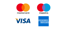 Logos von vier verschiedenen Kreditkartenunternehmen: Mastercard, Maestro, Visa und American Express.