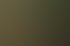 Ein Mann im dunklen Anzug spricht mit Mikrofon vor einer Gruppe Menschen an einer Bar bei einem Event.