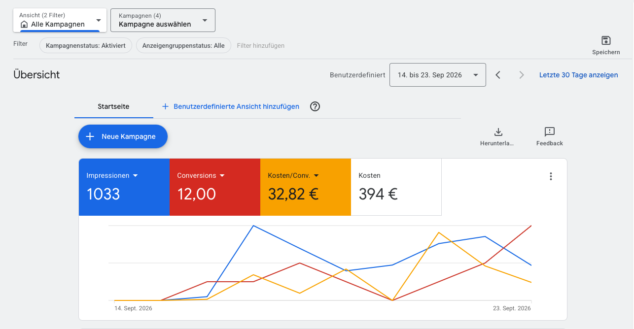 Google Ads Ergebnis Pflegedienst Kleinstadt