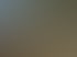 Eine Menschenmenge sitzt auf Holzbänken unter Bäumen und schaut einer Gruppe von Menschen zu.