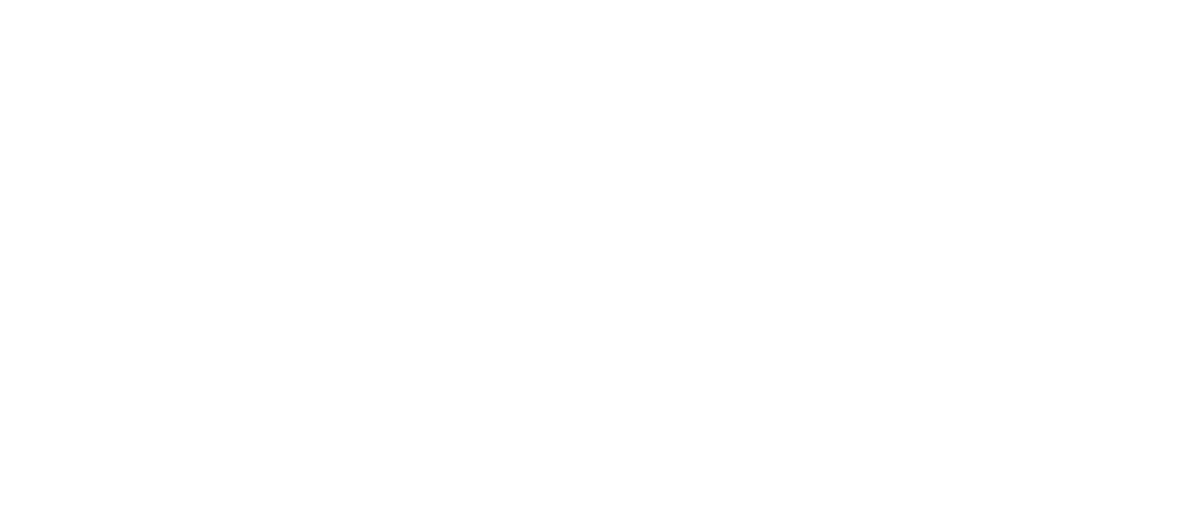 SWISS VFG