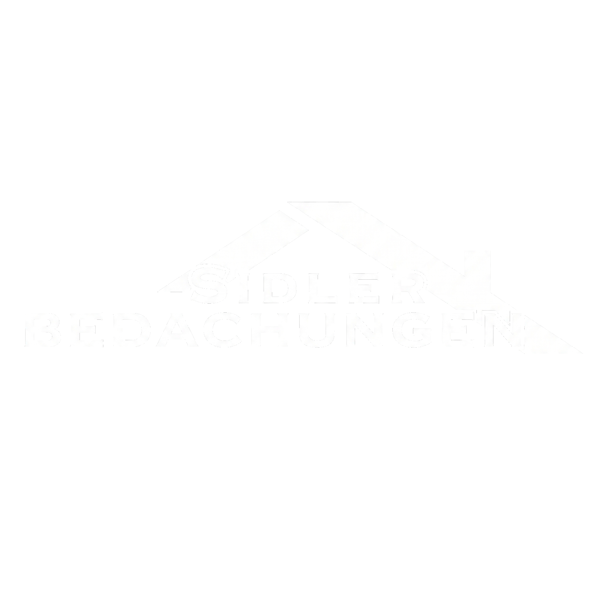 Logo 13