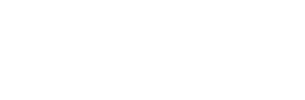 Weißes Logo mit geometrischem Emblem und dem Text "FIORILLO BRANDING" auf grünem Hintergrund.