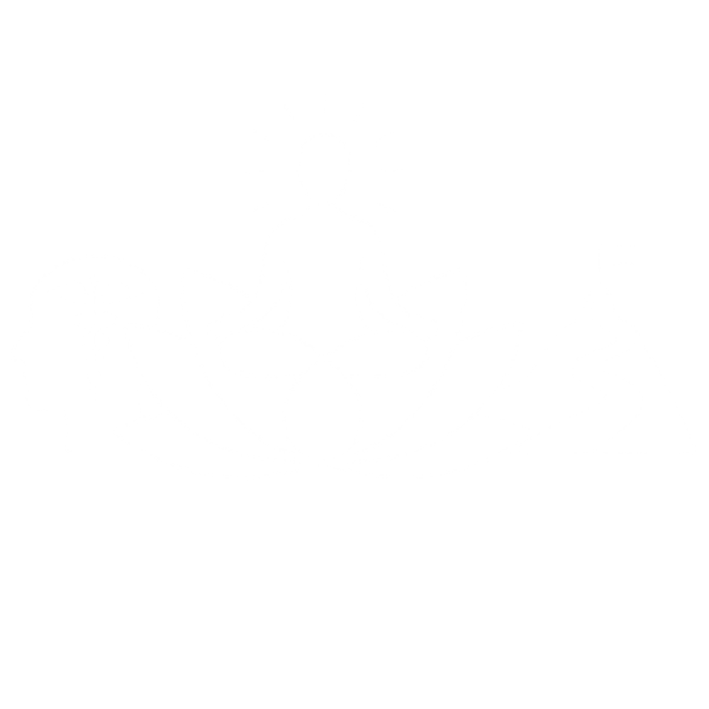 Weiße, geschwungene Schrift auf grünem Hintergrund: "Ing. Brennenstuhl" mit einem stilisierten Auge am Ende.