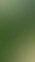 TN-Mitarbeiter bei der Pflege von Formgehölzen im Garten