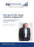 Titelseite des Reports Depot-Check Praxisfall von Peter Klima