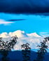 The majestic Nanda Devi from Kasar Devi