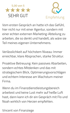 Kundenbewertung: "5,00 von 5 SEHR GUT Empfehlung" mit fünf goldenen Sternen, Text "Vincent von Finanziege"