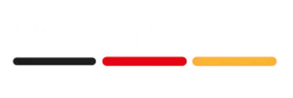 Hosting made in Germany mit deutscher Flagge.