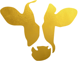 unternehmercoaching-logo