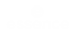 Essence Logo