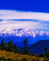 Mount Trishul and Nanda Devi from Almora view point